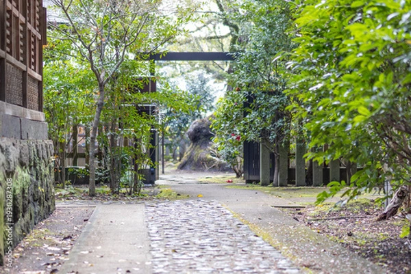 Obraz 緑に囲まれた石畳の道