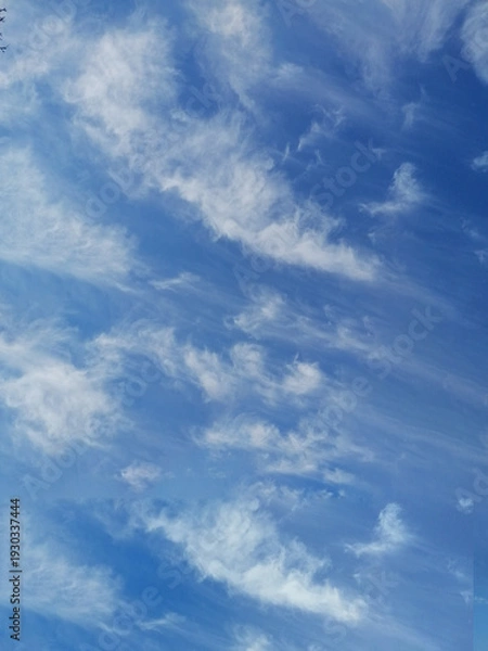 Obraz a cloud in the sky