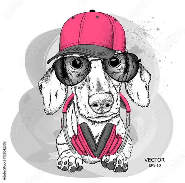 Fototapeta Hipster dog in cap. Vector illustration