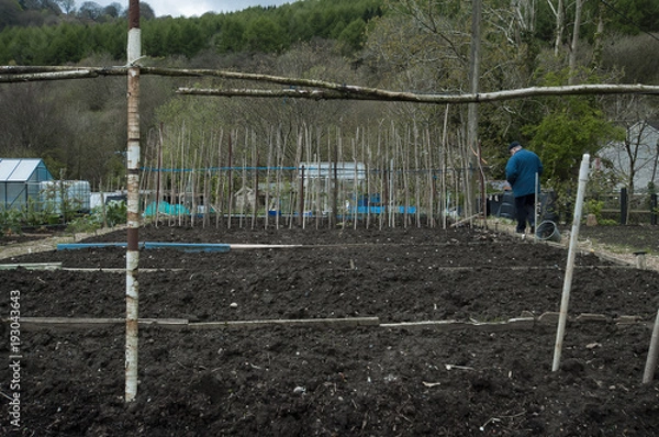 Fototapeta allotment