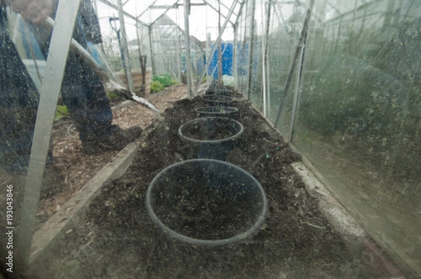 Fototapeta allotment