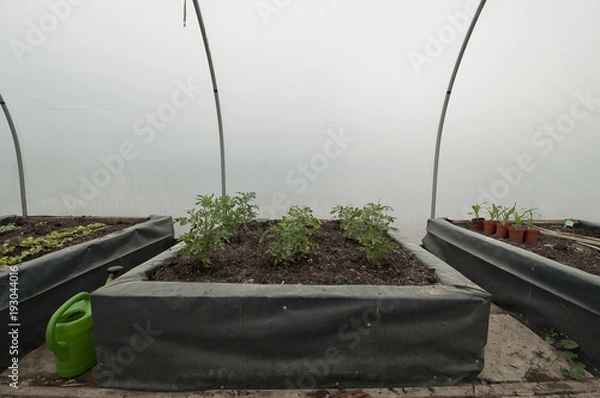 Fototapeta allotment