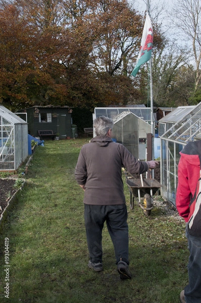 Fototapeta allotment
