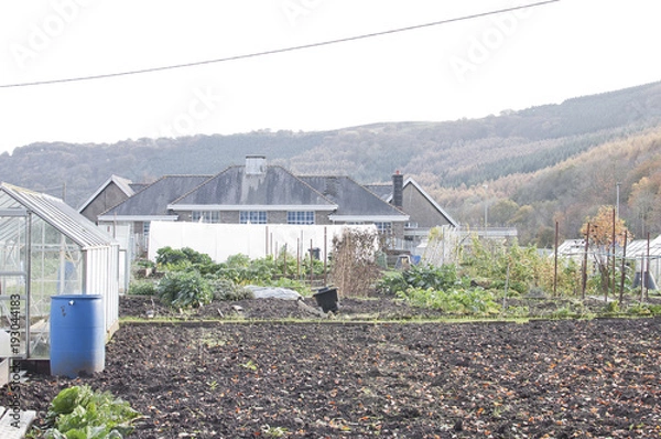 Fototapeta allotment