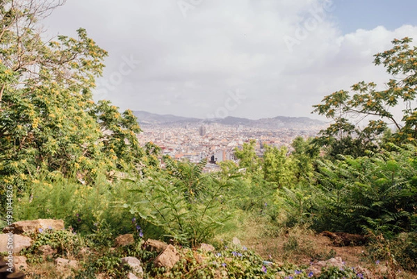 Fototapeta Panoramic view of Barcelona on a summer day