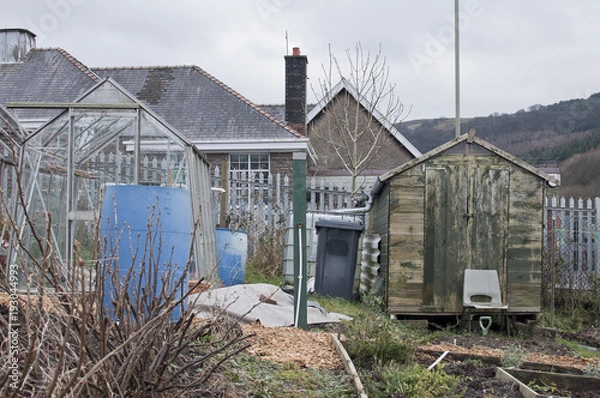 Fototapeta allotment