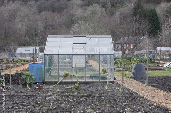 Fototapeta allotment