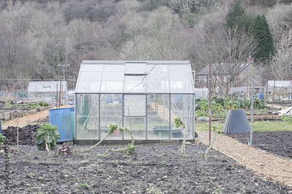 Fototapeta allotment