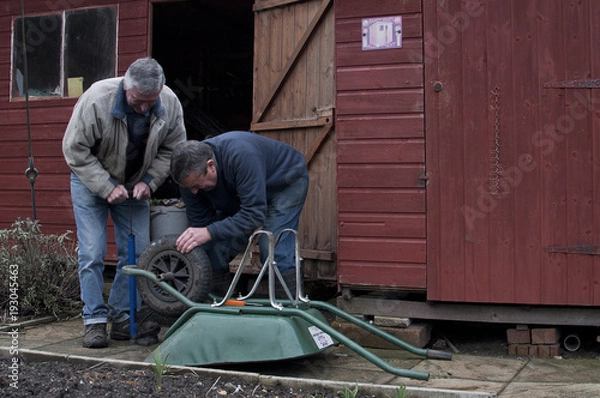 Fototapeta allotment
