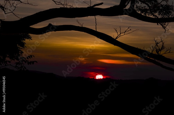 Fototapeta landscape