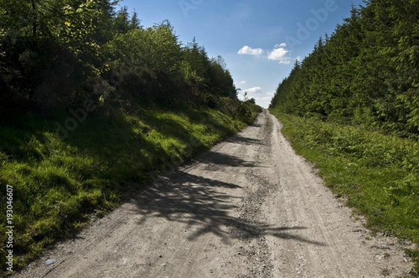 Fototapeta landscape