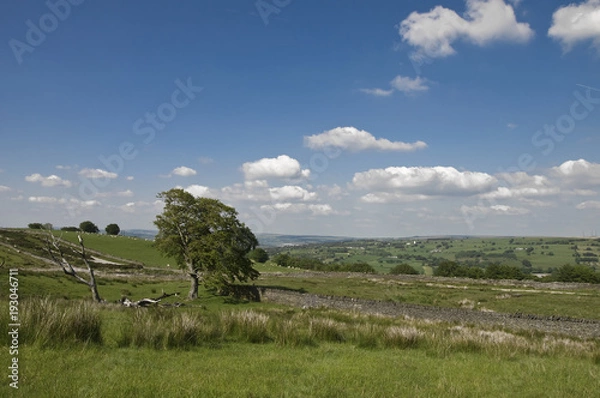 Fototapeta landscape