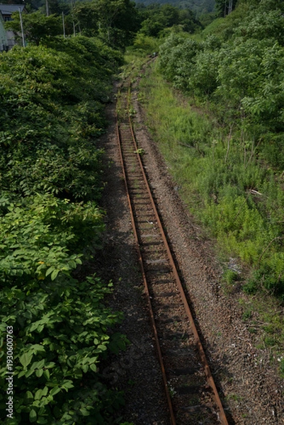 Obraz 田舎の廃線になった線路