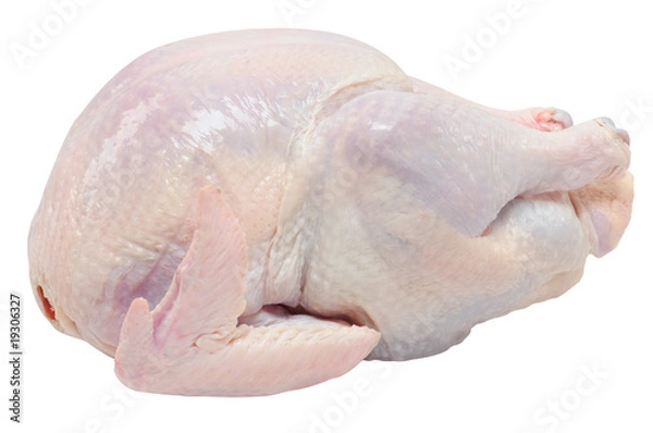 Obraz Raw turkey. Isolated