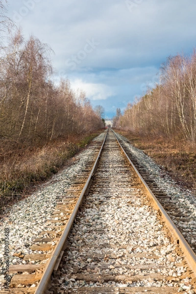 Fototapeta railway stretching to the far end covered with thin layer of snow on a cloudy day with tress on both sides