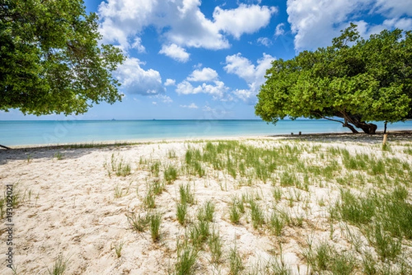 Obraz Aruba, Caribbean