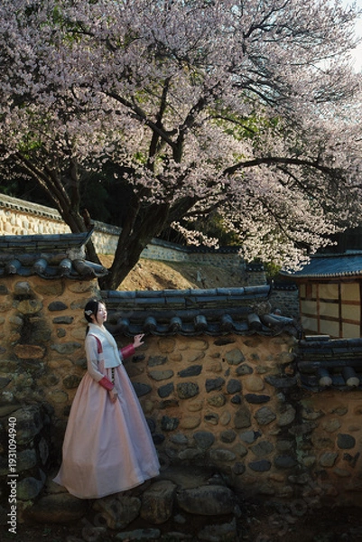 Obraz 밀양향교 돌담과 매화 아래, 한복 여인의 봄 산책