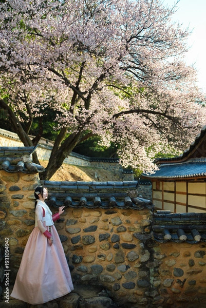 Obraz 밀양향교 돌담과 매화 아래, 한복 여인의 봄 산책