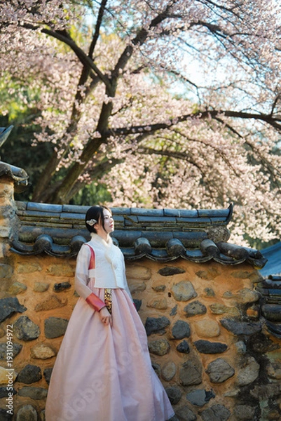 Obraz 밀양향교 돌담과 매화 아래, 한복 여인의 봄 산책