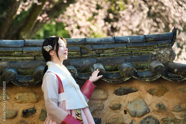 Obraz 밀양향교 돌담과 매화 아래, 한복 여인의 봄 산책