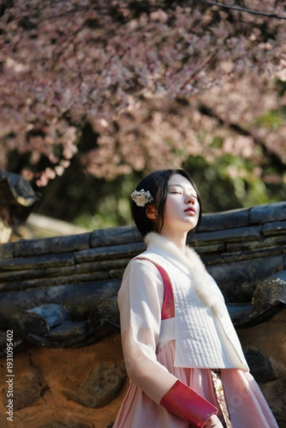 Obraz 밀양향교 돌담 아래 매화와 한복 여인의 봄 풍경