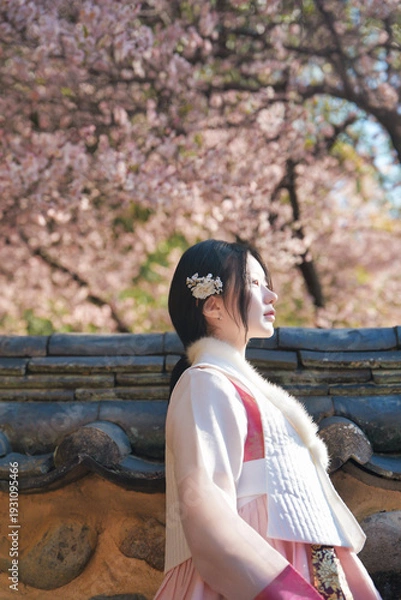 Obraz 밀양향교 돌담 아래 매화와 한복 여인의 봄 풍경