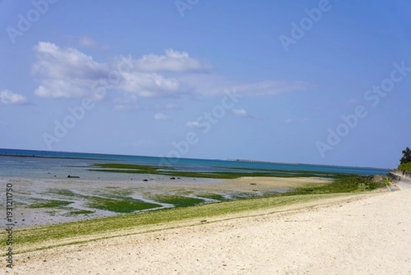 Obraz 沖縄　アーサ（ヒトエグサ）の生えたビーチ