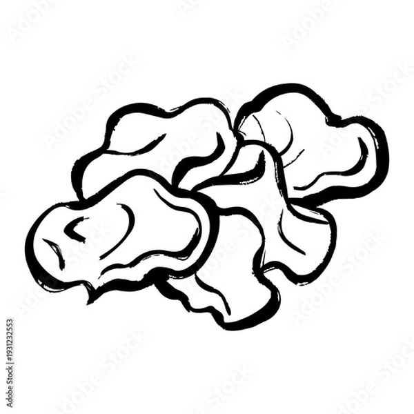 Fototapeta キクラゲの線画イラスト