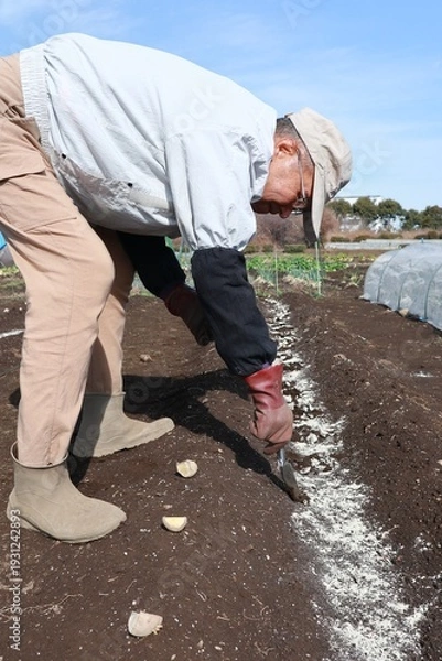 Obraz 農作業　シニア男性