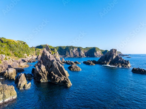 Obraz 海金剛（和歌山県串本町）