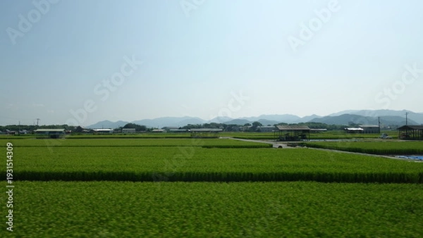 Obraz 美しい日本の田園風景
