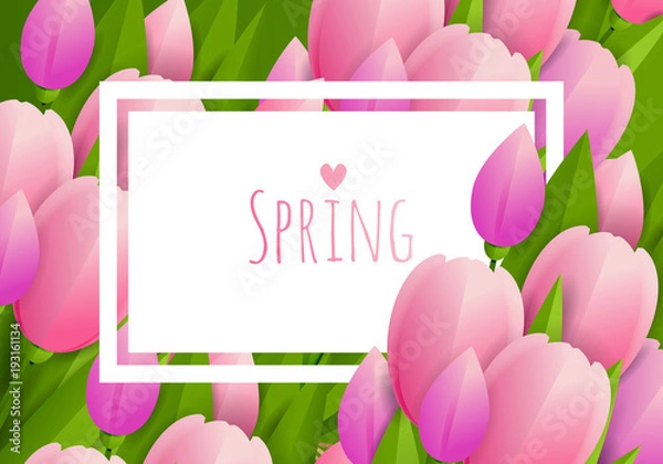 Fototapeta Floral background with tulips