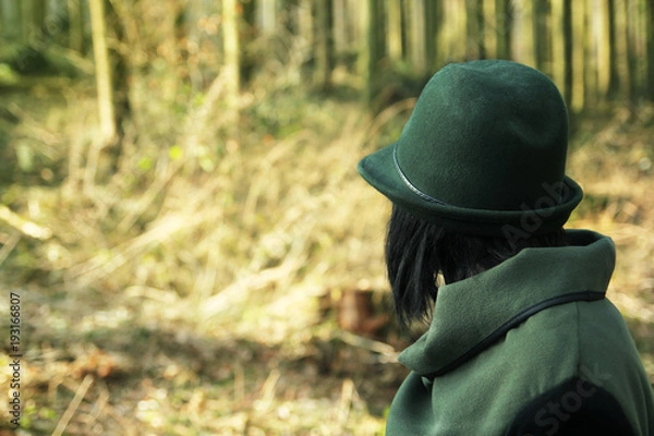 Obraz Ranger at work, watching the forest