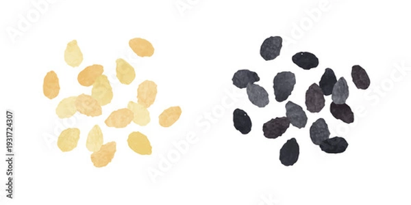 Obraz 白ごま 黒ごま