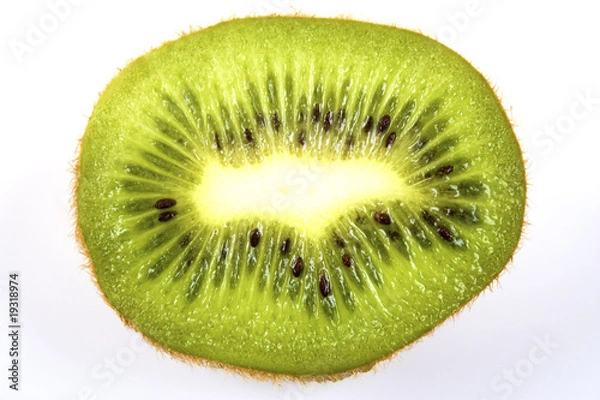 Obraz Kiwi