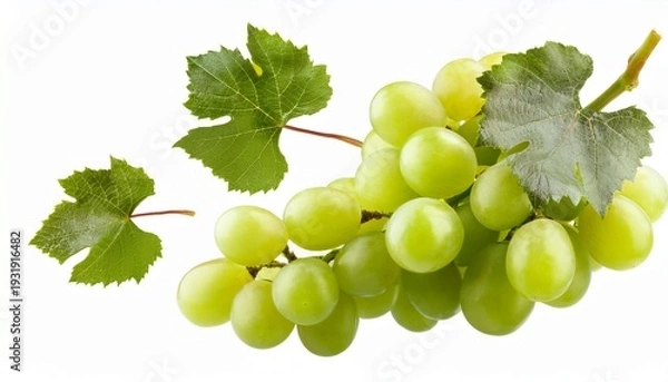 Obraz green grape flying isolated