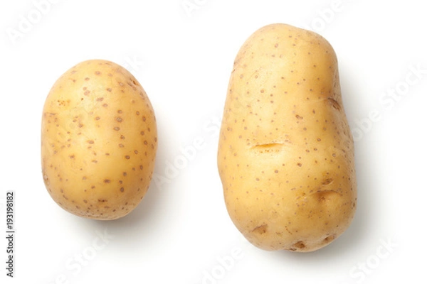 Fototapeta Ziemniaki izolowane na białym tle