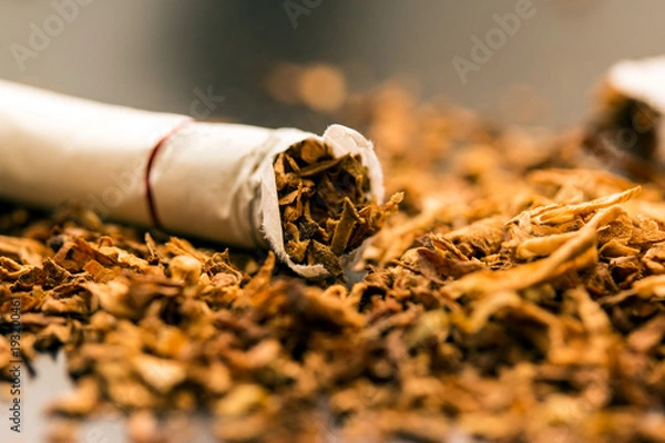 Obraz A butt among tobacco