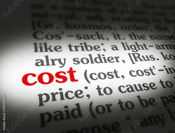 Obraz Dictionary Cost