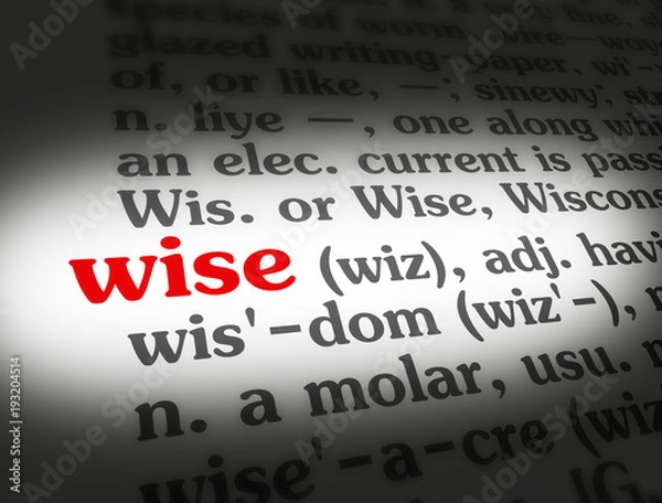 Obraz Dictionary Wise