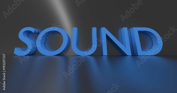 Obraz Sound word on grey background. 3D render.