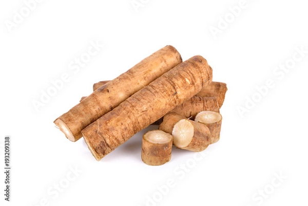 Obraz fresh burdock root or Gobo on white background