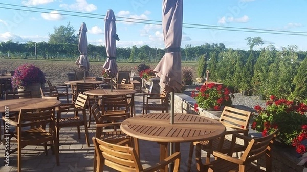 Obraz Patio at wine vineyard
