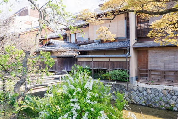 Obraz 京都・祇園白川と桜