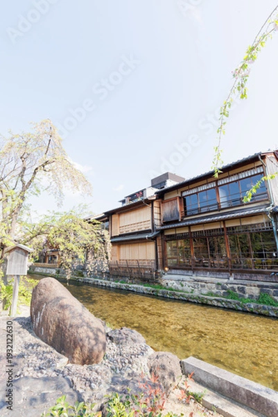 Obraz 京都・祇園白川と桜