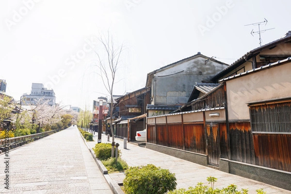 Obraz 京都・祇園白川と桜