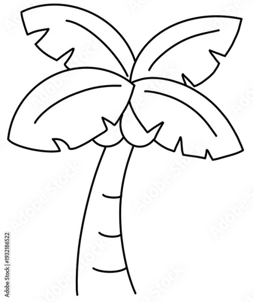 Obraz 야자수나무