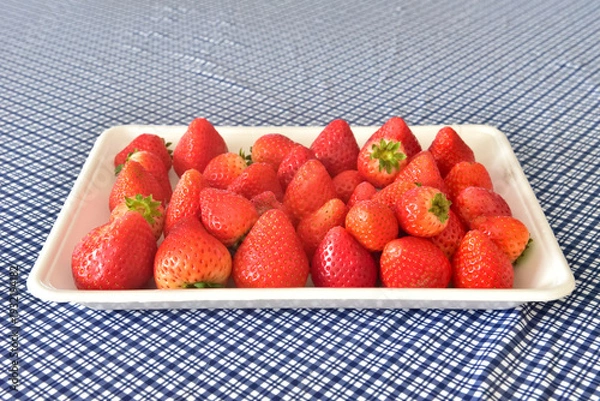 Obraz たくさんのイチゴ