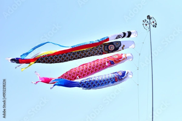 Obraz  青空と鯉のぼり