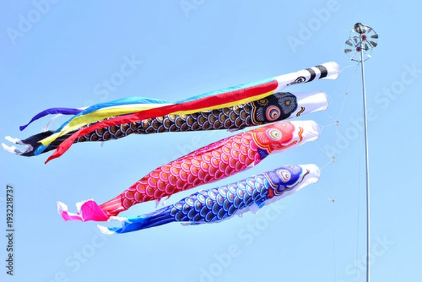 Obraz  青空と鯉のぼり